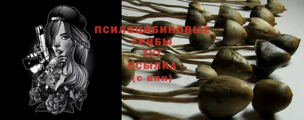 хмурый Абдулино