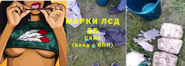 ешки Алексин